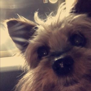 meet your posher, addy